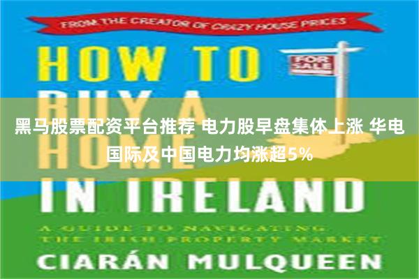 黑马股票配资平台推荐 电力股早盘集体上涨 华电国际及中国电力均涨超5%