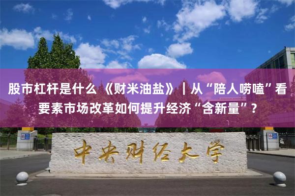 股市杠杆是什么 《财米油盐》｜从“陪人唠嗑”看要素市场改革如何提升经济“含新量”？