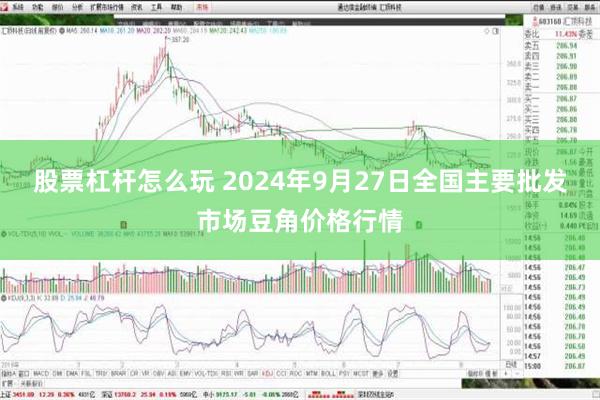 股票杠杆怎么玩 2024年9月27日全国主要批发市场豆角价格行情