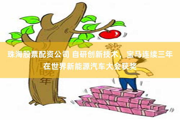 珠海股票配资公司 自研创新技术，宝马连续三年在世界新能源汽车大会获奖