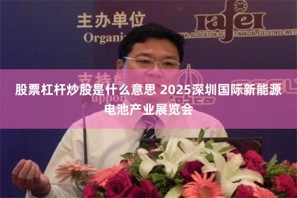 股票杠杆炒股是什么意思 2025深圳国际新能源电池产业展览会