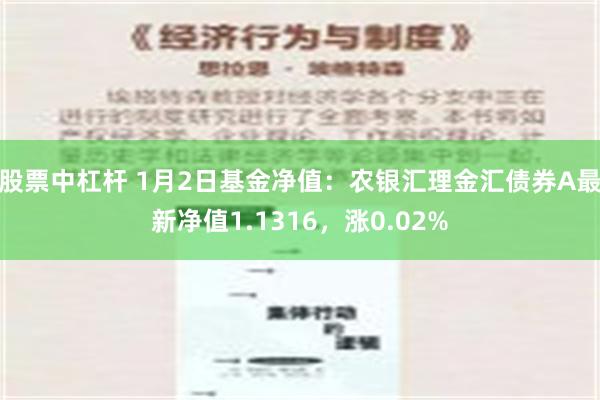 股票中杠杆 1月2日基金净值：农银汇理金汇债券A最新净值1.1316，涨0.02%