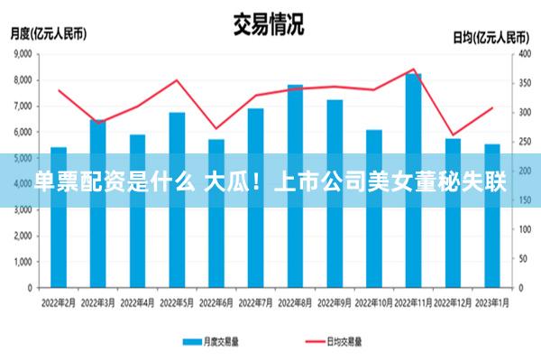 单票配资是什么 大瓜！上市公司美女董秘失联