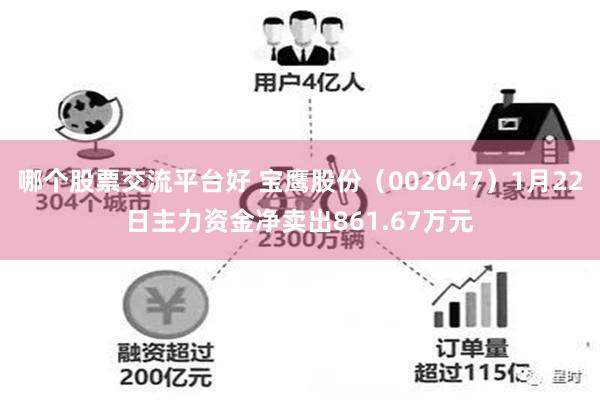 哪个股票交流平台好 宝鹰股份（002047）1月22日主力资金净卖出861.67万元